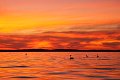 Un ciel flamboyant au dessus du Cap Ferret